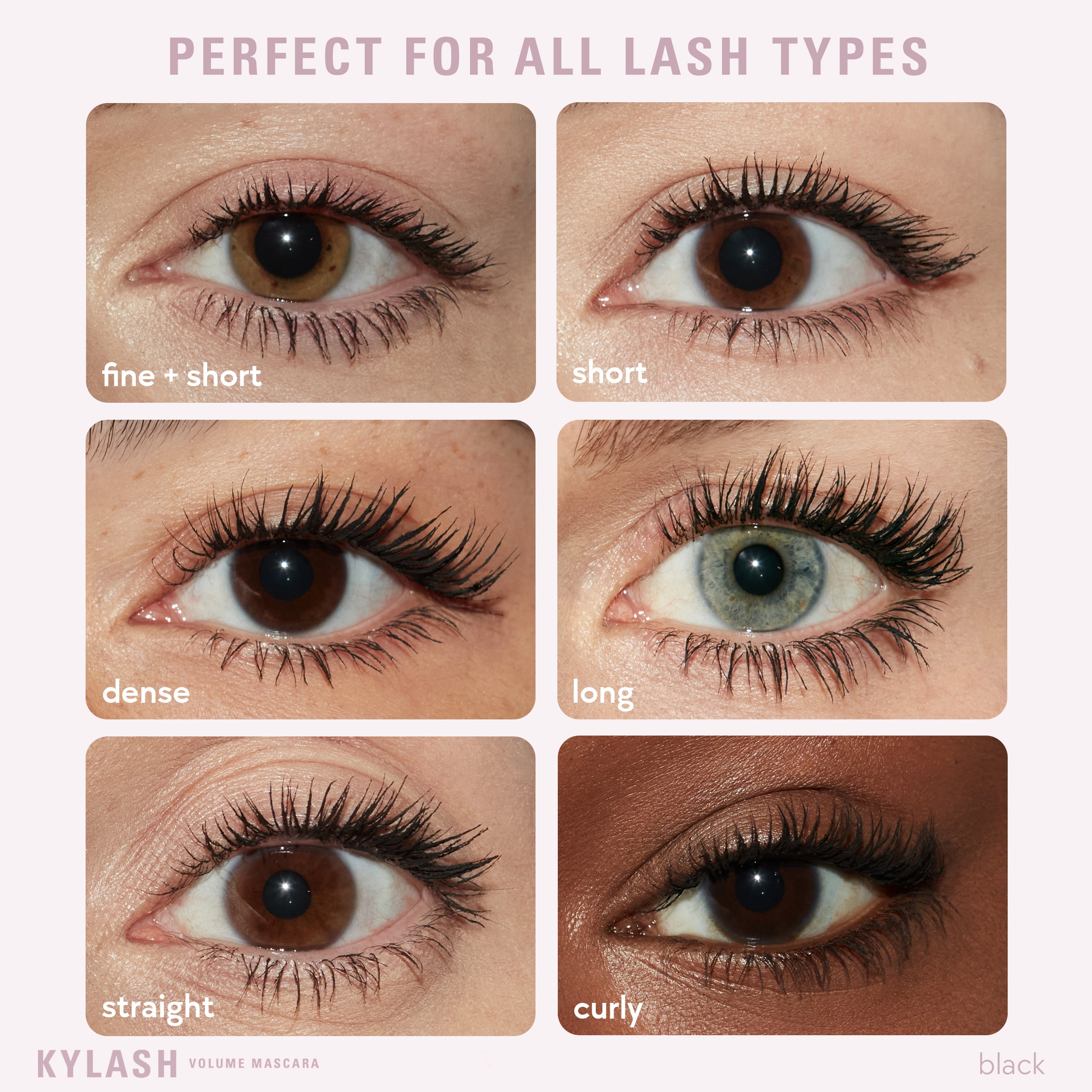 Kylash Volume Mascara & Classic Matte Palette Duo - Image 2